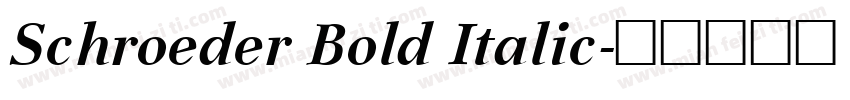Schroeder Bold Italic字体转换